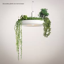 Hanging Garden Plant Single Light Pandant Ceiling Light Fixture Pendant Lights Ceiling Lights Light Ceiling Lights Single Pendant Lighting Hanging Garden