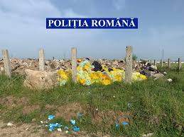 211 / 25.11.2011, cu aplicabilitate de la 1 ianuarie 2012, este o lege cadru privind regimul deseurilor care transpune directiva europeana 2008/98/ce si pune accentul pe respectarea ierarhiei. PoliÈia RomanÄ Peste 211 Tone De DeÈeuri Periculoase