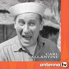 BIRTHDAY REMEMBRANCE STEPHEN ELLIOTT Born: November 27, 1918 Died: May 21,  2005 ▪️A DEADLY STATE OF MIND ~ as Carl Donner ▪️GRAND DECEPTION ~ as  General Jack Padget