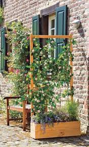 Gruner Sichtschutz Sichtschutz Garten Cottage Garten Design Sichtschutz Pflanzen