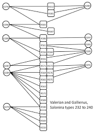 Die Chart Of Salinina Types 232 To 240 Download Scientific