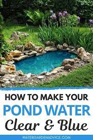 How To Make Your Pond Water Blue Water Garden Advice