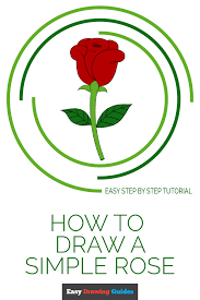 Easy Drawing Guides On Twitter Learn How To Draw A Simple Rose Easy Step By Step Drawing Tutorial For Kids And Beginners Simple Rose Valentinesday Easydrawing See The Full Tutorial At Https T Co 7ivrc7al4g Https T Co Rrel8vmnhi This flower's delicate shape gives it great beauty.