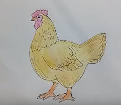In this step by step drawing tutorial, we'll take a look at how to draw a rhinoceros. How To Draw Chicken Hen Step By Step Draw Animals
