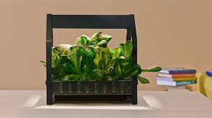 Ikea Indoor Garden Hydroponic Gardening Indoor Vegetable Gardening Indoor Garden