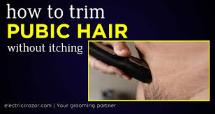 How do you shave your pubic hair? How To Trim Pubic Hair Without Itching Full Guide Electric Razor