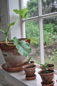 Pin Pa Ideer For Hagen