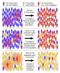 This entry lists major infectious diseases likely to be encountered in countries where the risk the diseases listed do not necessarily represent the total disease burden experienced by the decreased work or learning capacity; Superspreading Event Wikipedia