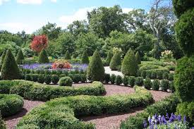 They help the plants have sturdy, uniform growth. How To Get Rid Of Fungus In Garden Soil Hgtv