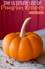 I am always quick to embrace fall every year. The Ultimate List Of Pumpkin Recipes 200 Recipes Drugstore Divas