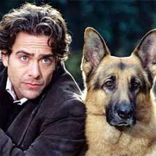 Rex déprime sans son maître et refuse de s'alimenter au chenil, il s'échappe pour aller. Rex Chien Flic Serie Tv 1994 Allocine