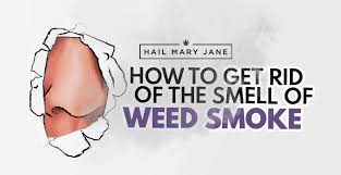 Weed always manages to stink, you could but 5 grams in 10 sealed bags and after a few days you'll still probably be able to smell something. 10 Ways To Get Rid Of The Smell Of Weed Smoke Hail Mary Jane