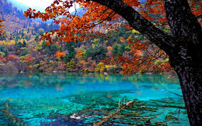 In this module, we will discuss findings from studies comparing north american (united states, canada) and east asian (chinese, japanese, korean) contexts. High Def Wallpapers 81 Background Pictures