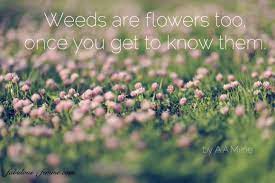 These quotes dive right into the enjoyment of smoking weed, the injustice of the laws and stigma around it, and how it soothes the mind and the soul. Quote Weeds Are Flowers Too