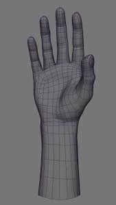 Realistic Rigged Hand 3d Fbx 3d Model Character Character Modeling Zbrush