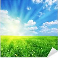 Copyright © by harpercollins publishers. Adesivo Primavera Paesaggio Soleggiato Pixers Viviamo Per Il Cambiamento