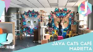 Find downtown atlanta restaurants in the atlanta area and other. Java Cats Cafe Marietta Youtube