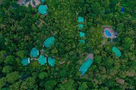 Sterling Wayanad, Harrassment to Max