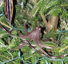 Fact Check Is The Pacific Northwest Tree Octopus Endangered Pacific Northwest Tree Xmas Tree