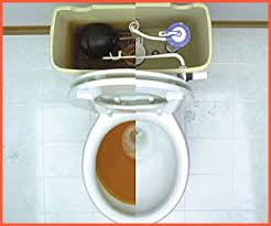 The water looks good, but there's still an awful lot of rust slime in the toilet tanks. 10 Best Toilet Tank Cleaners Reviews In 2021 Living Norm