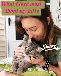 Meet Figgy: My Beloved Kitty and His Adorable Story