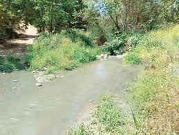 Aún corren aguas negras en Cañón de Doña Petra by Editorial El Vigia