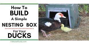 Nesting Boxes For Ducks. How To Make Your Own. - Life Is Just Ducky