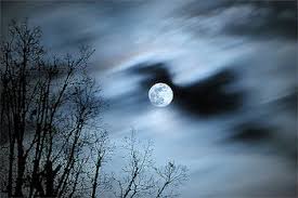 With the moon as your ruling planet, this supermoon will absolutely have you feeling watery. A Cancerian Supermoon For The New Year Astrology Readings And Writings By Lynn Hayes