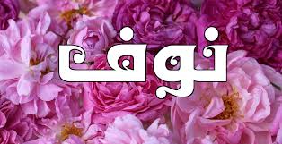 معنى اسم نوف وصفات حامل الاسم موقع زيادة