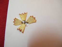How To Make Pencil Shavings Art Kids Crafts Activities Kids Crafts Activities Graphic designer marta altes creates creative artworks from reused pencil shavings. how to make pencil shavings art kids