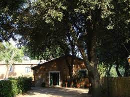 Ristorante La Viola Torrimpietra Restaurant Reviews Photos Phone Number Tripadvisor