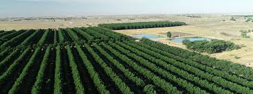 News Flash • Roswell, NM • CivicEngage