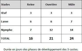 Epingle Sur Abeilles