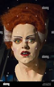 Garden City, New York. 15th June 2013. The Bride of Frankenstein bust, with  red and white wig, is