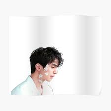 It's where your interests connect you with your people. Lee Dong Wook Posters Redbubble