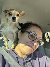 Please share help find Jovi there is a reward she is chipped we want our  baby home please share