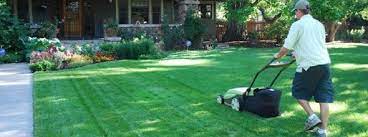A Professional Lawn Contractor Provides The Best Possible Finish For Your Lawn Such As Professional Edging Of The Enti Organic Lawn Care Lawn Care Lawn Service