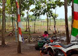 Objek wisata jumlahnya total 62 kita tutup sesuai surat edaran. Piknik Asyik Di Wisata Hutan Jati Sindang Jaya Tangerang