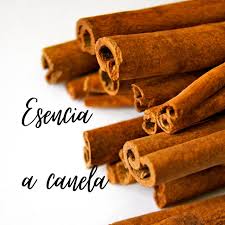 Esencia A Canela Single By Richard Pena Musician Spotify