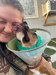 Margo Becker's Instagram, Twitter & Facebook