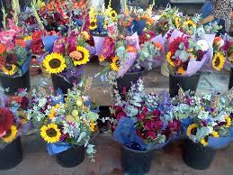 You are reading 25 best places to visit in minnesota back to top St Paul Farmer S Market Mckenzie Malanaphy
