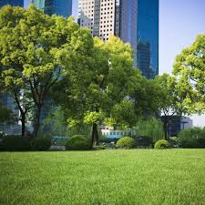 Opening hours for pest control in orlando, fl. Commercial Pest Control Services Orlando