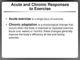 An Introduction To Exercise And Sport Physiology Ppt Download