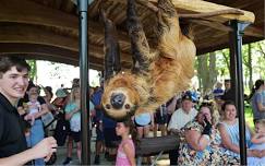 Bring the Zoo to You