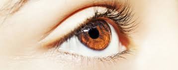 So rinnt wasser über die. Lidrandentzundung Blepharitis Focus Arztsuche