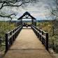 Walk at Arbor Hills event in Plano, TX