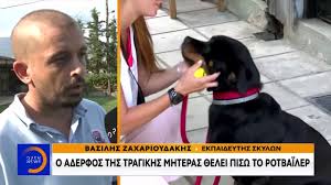 Ασύλληπτη η τραγωδία με το ροτβάιλερ που σε κατάσταση αμόκ έκοψε το νήμα της ζωής ενός βρέφους μόλις 2 μηνών στα γλυκά νερά. Rotbailer Glyka Nera Ekpaideytes Miloyn Meta Thn Tragwdia H Oikogeneia To 8elei Pisw Alphafreepress Gr