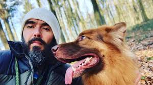 We did not find results for: Russell Brand S Dog Collar Shock Tactics To Be Outlawed News The Times