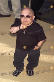 Miembro de oro, austin powers 3: Photos And Pictures Photo By Tom Lau Loud Clear Media Star Max Inc Copyright 2002 All Rights Reserved 07 22 02 Cast Member Verne Troyer At The World Premiere Of Austin Powers In