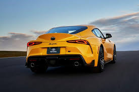 Image result for Coptosperma supra-axillare